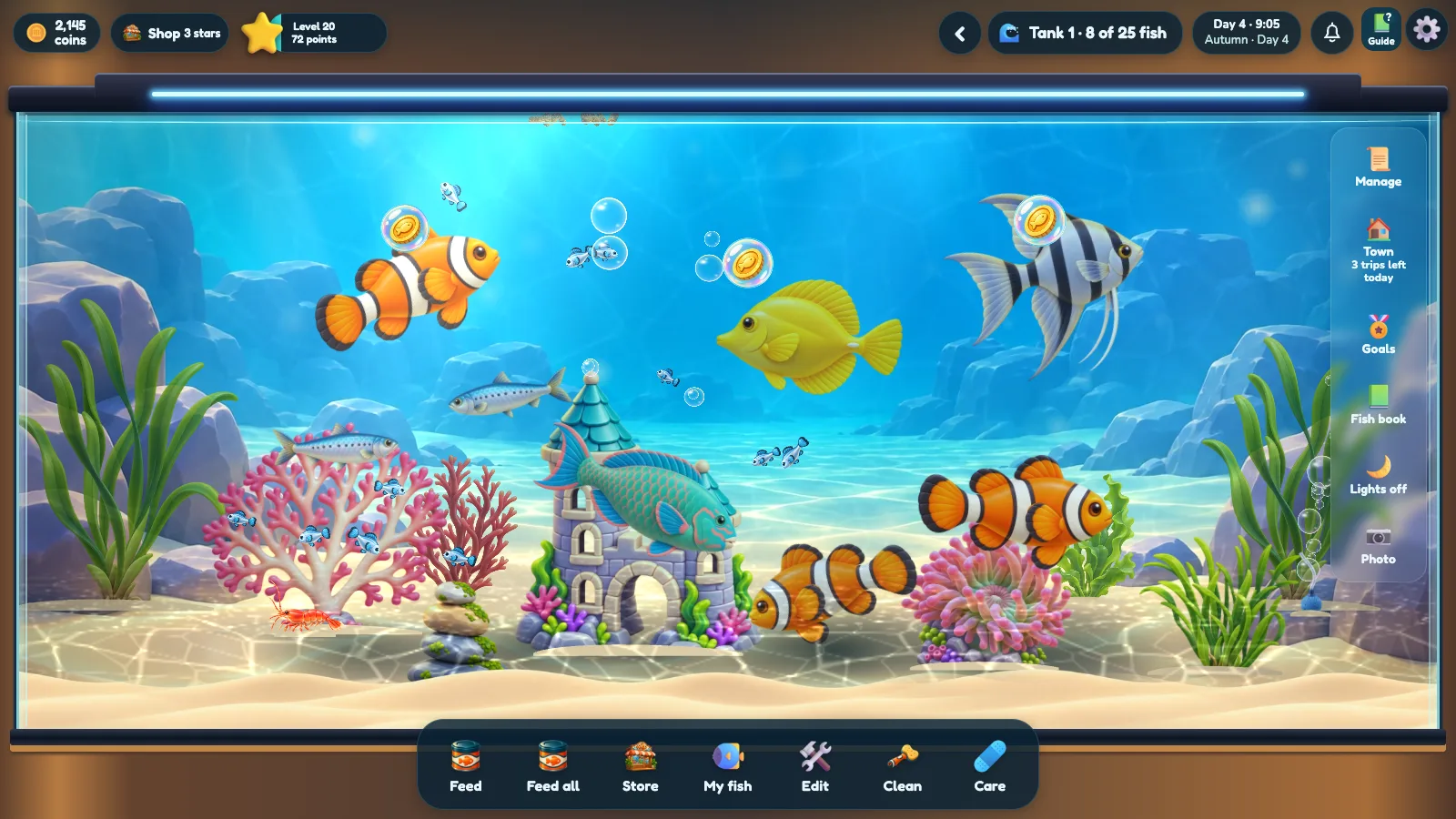 Feeding clownfish, angelfish and a yellow tang in a decorated reef aquarium